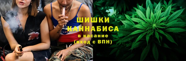 шишки Армянск