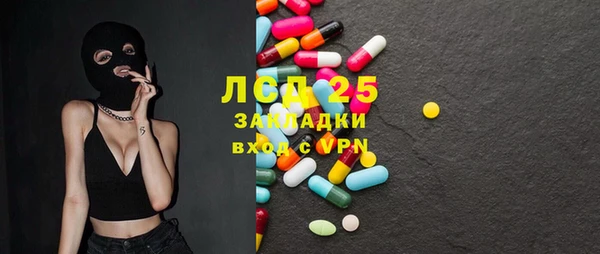 индика Аркадак