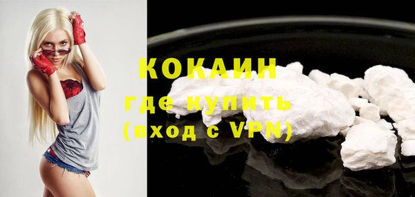 индика Аркадак