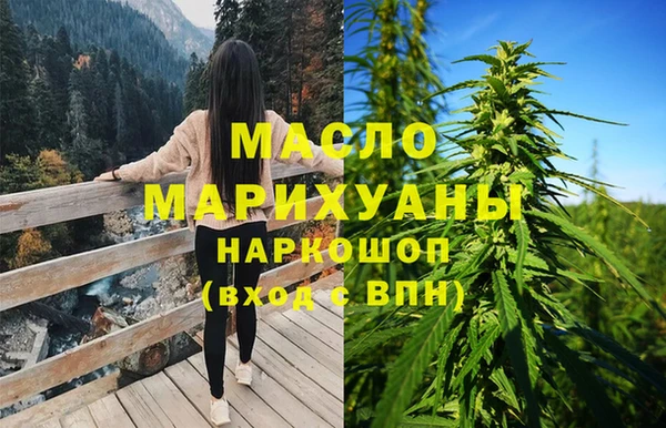 индика Арсеньев