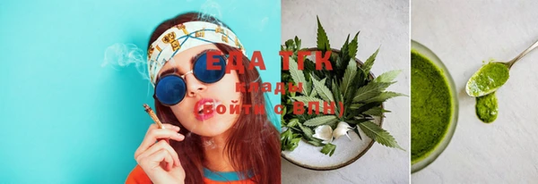 индика Аркадак