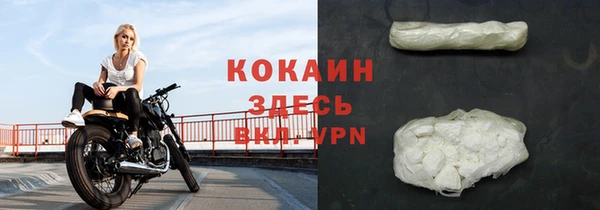 индика Аркадак
