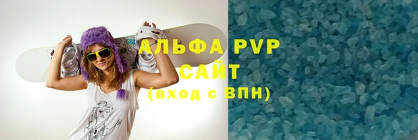 индика Аркадак