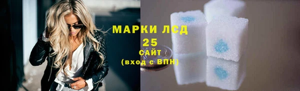 индика Аркадак