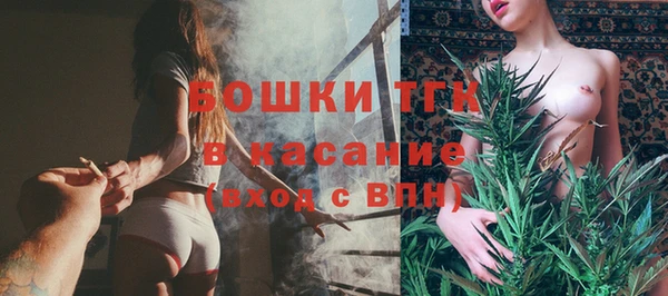 шишки Армянск