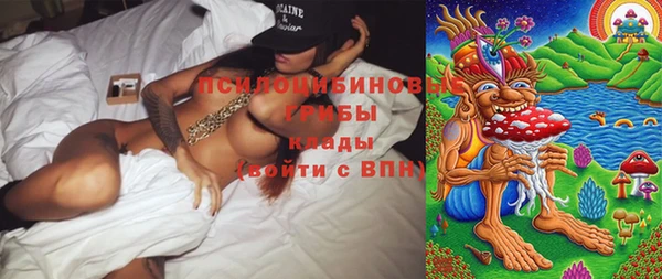 шишки Армянск