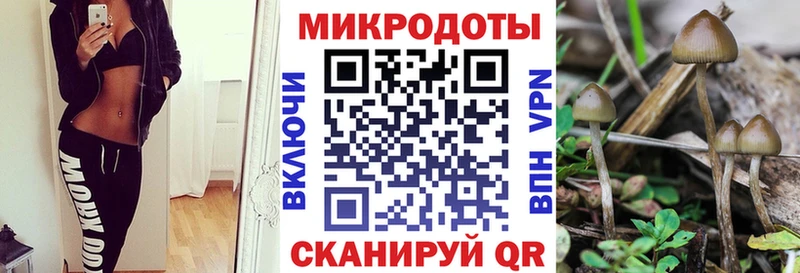 Галлюциногенные грибы MAGIC MUSHROOMS  Полесск 